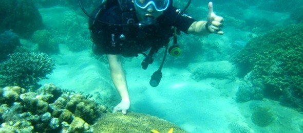 Tour 2 Đảo Vip: Lặn ngắm san hô Hòn Mun & Check in Đảo Tình Yêu